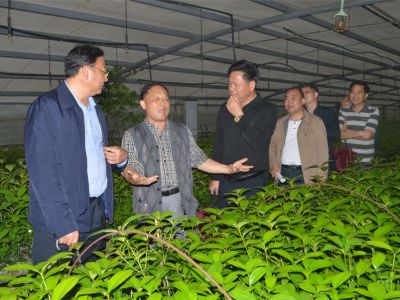 宜都市政府、市住建局领导来公司考察