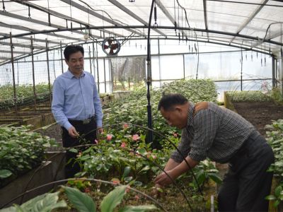 宜都市政府领导来公司考察
