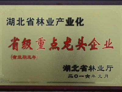 省级龙头企业